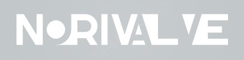 Logo Norivalve